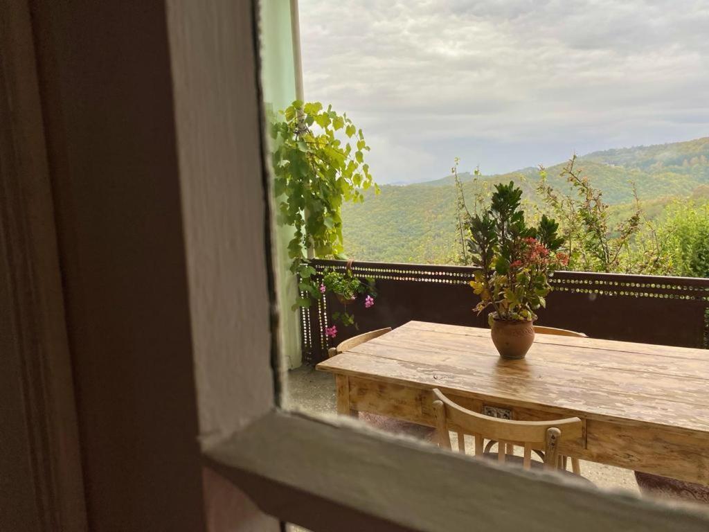 Tuta House Sighnaghi Hotel Exterior photo
